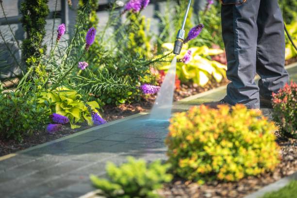 Best Restaurant Pressure Washing  in South Connellsville, PA